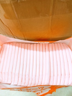 1 miếng tả Cocoyo size 45*60