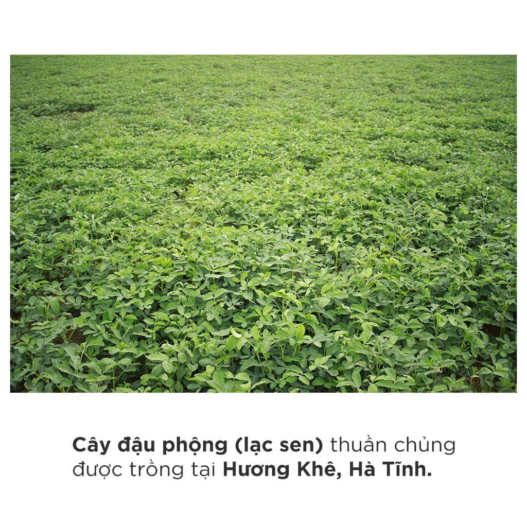 Dầu Phộng (Dầu Lạc Sen) Hương Khê - One4One 120ml