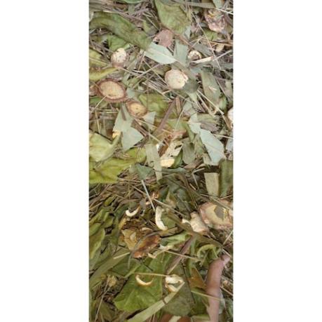 Lá xông giải cảm cúm