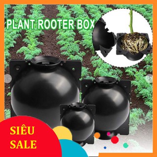 Combo 10 bầu chiết cành chuyên dụng - hàng loại 1 - tái sử dụng được nhiều lần - chính hãng