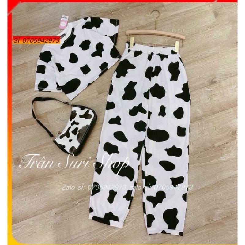 Set Bộ Bò Sữa Set Bộ Thun Áo Quần Dài Ống Bo