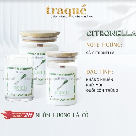 Nến thơm Candle Cup/Agaya - Hương Khử Mùi CITRONELLA