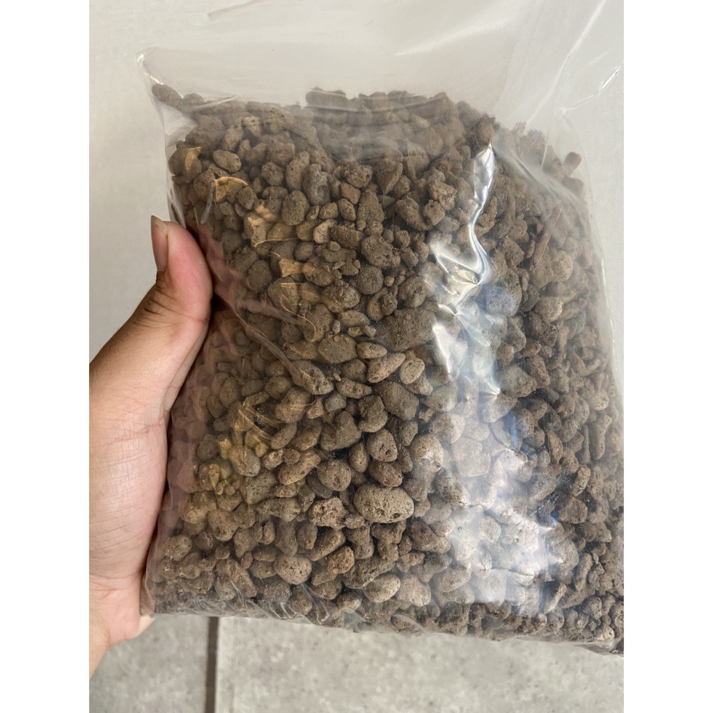 1Kg Đá Pumice (đá bọt , đá núi lửa, đá lông vũ ) Indo - trồng xương rồng , kiểng lá , rau củ