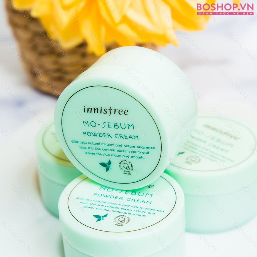 KEM DƯỠNG DA KIỀM DẦU INNISFREE NO SEBUM POWDER CREAM 25G CHÍNH HÃNG - 6397