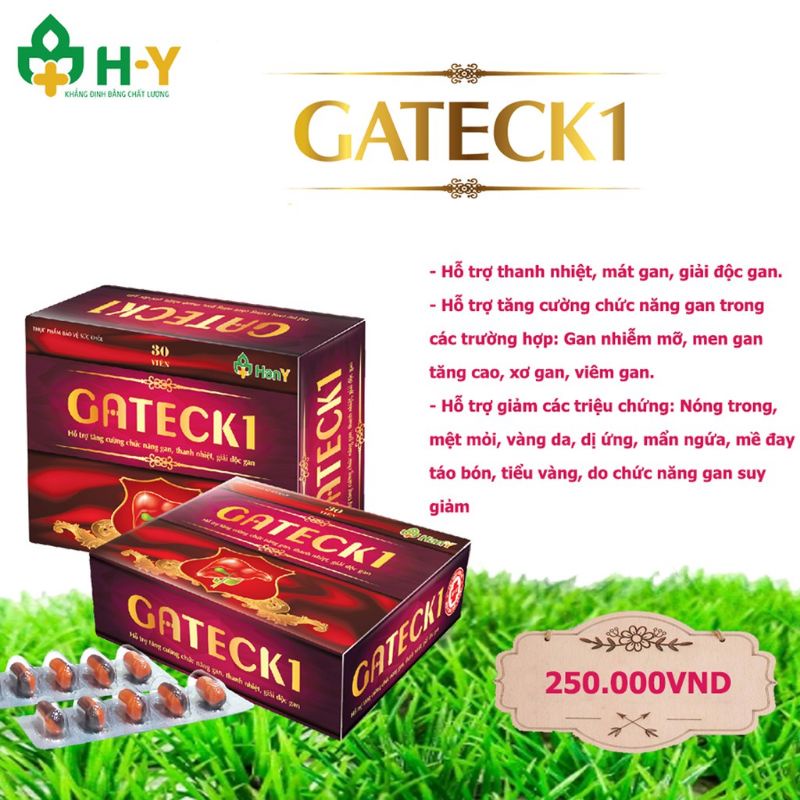GATECK1 bổ gan hộp 30 viên - Gateck 1 Hỗ trợ giải độc gan, mát thận