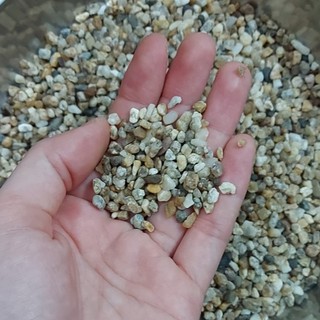 Sỏi dăm trang trí bể cá, gói 500g
