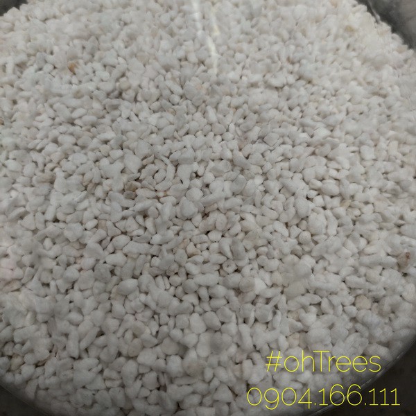 Chai 06 lít đá perlite dùng trộn đất trồng cây, rau, sen đá, xương rồng, chậu ban công, hoa hồng, hoa lan