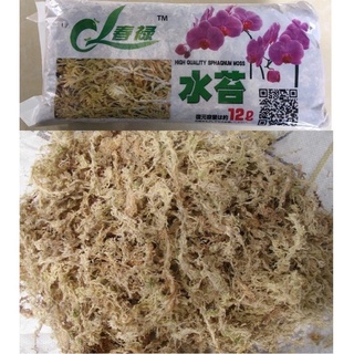 Tảo nén ( Dớn trắng ) trồng lan 140g