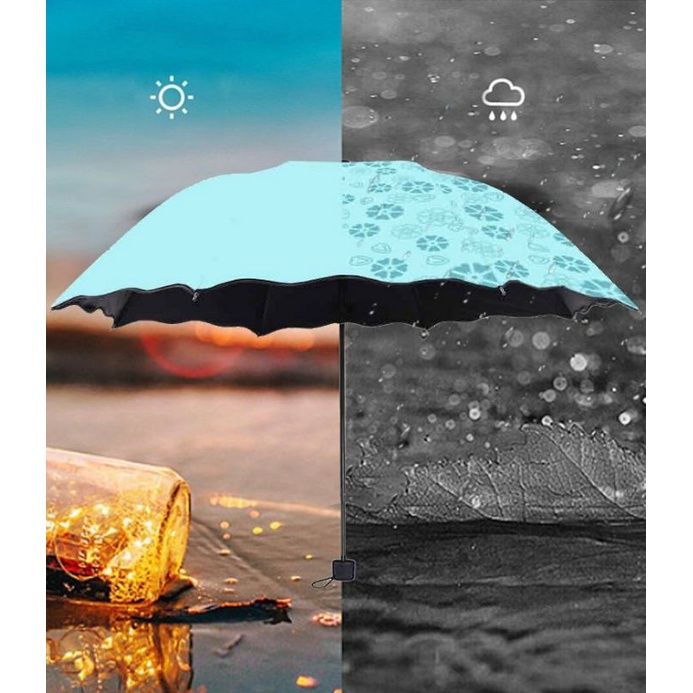 Ô dù nở hoa khi gặp nước, chống tia UV