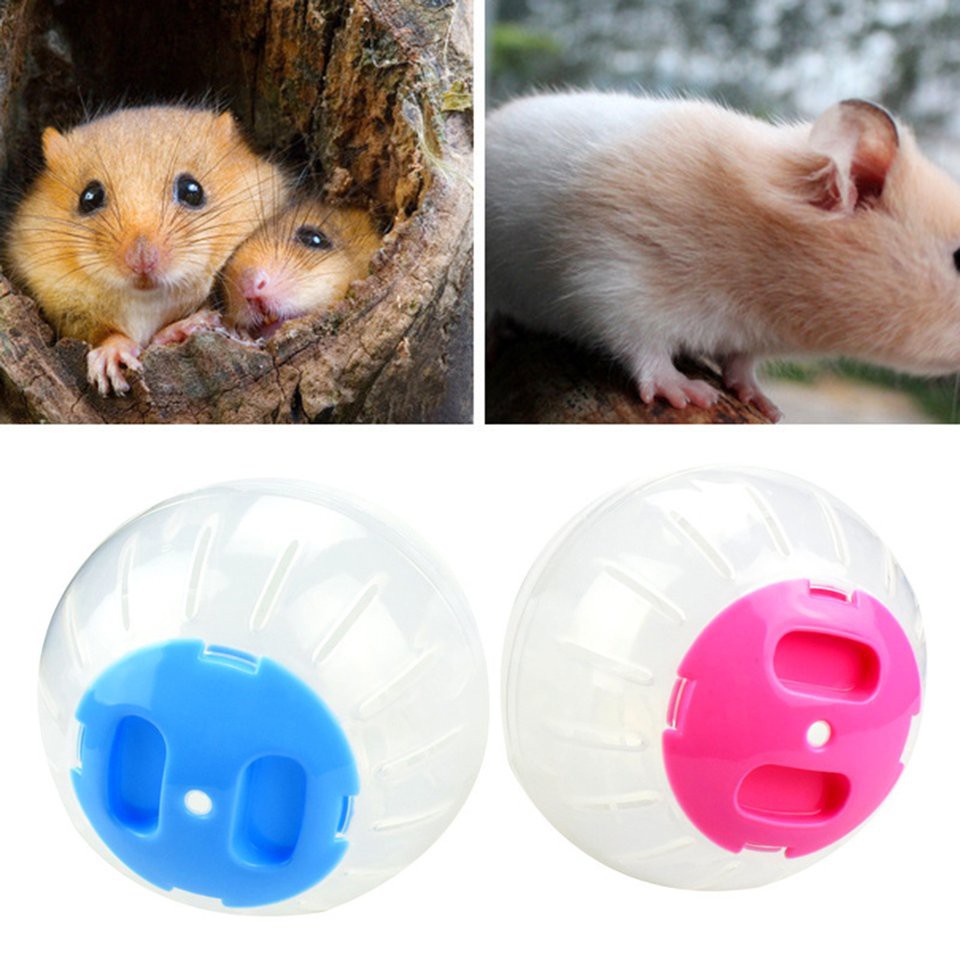 Bóng Chạy Bộ Nhiều Màu Sắc Tùy Chọn Tiện Dụng Và Bền Cho Chuột Hamster
