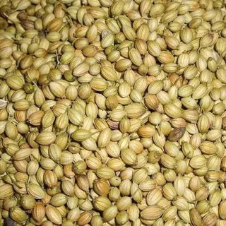 Hạt ngò - Coriander Seed