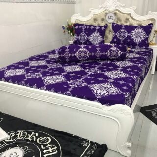 BỘ GA CHUN + 3 VỎ GỐI THUN HQ