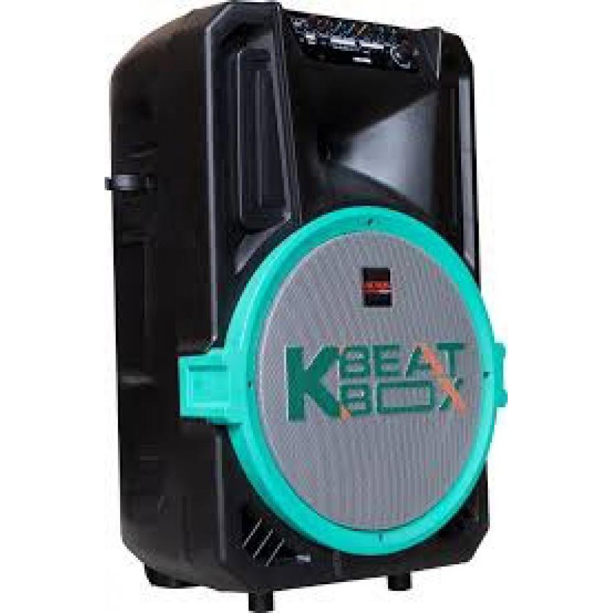 Loa kéo karaoke cao cấp Acnos Kbnet 39U