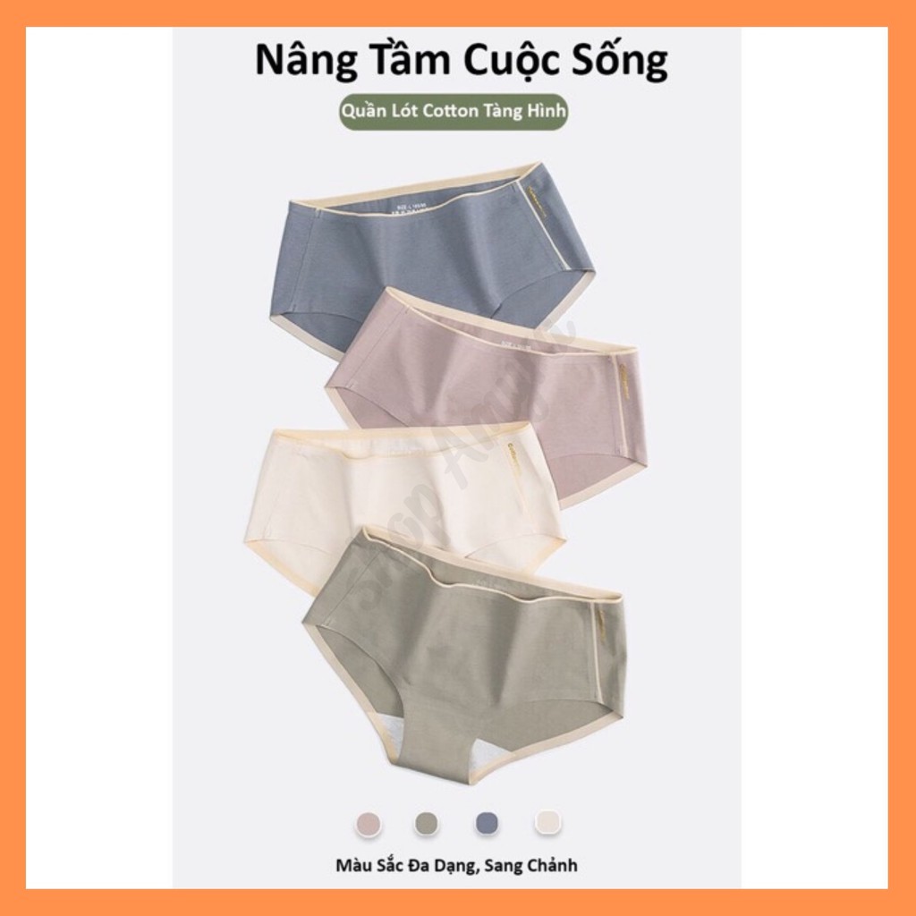 Quần Lót nữ Cotton100 Tàng Hình không Đường May Diệt Khuẩn AMYRA QL001 (Được chọn màu) | BigBuy360 - bigbuy360.vn