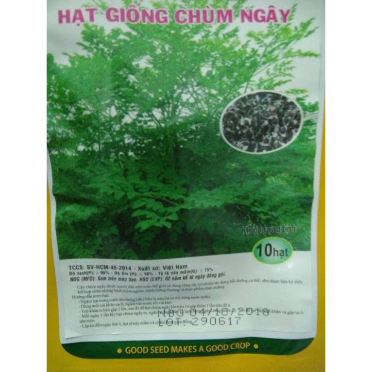 Hạt cây chùm ngây - gói 10 hạt