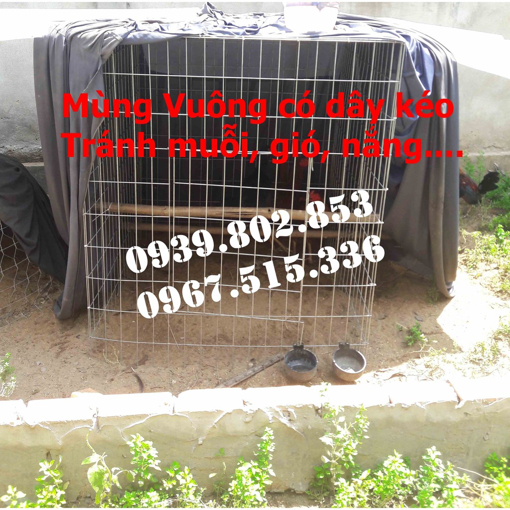 Mùng gà vuông kích thước 1mx1mx1,2m | Mùng vuông có dây kéo giá rẻ | Mùng gà nòi cho bội vuông | Màn vuông có dây kéo