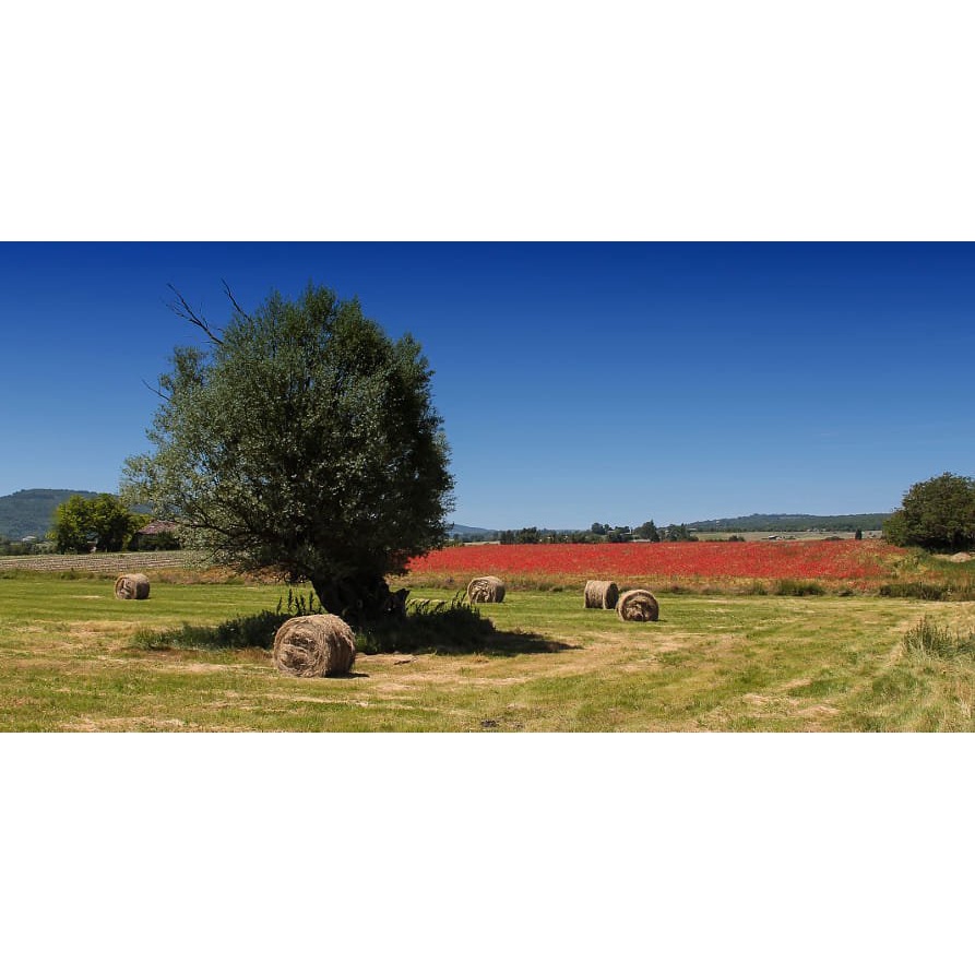 Ống Kính Canon EF 28-135mm f/3.5-5.6 IS USM