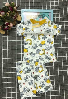  bộ lửng bé trai hiệu carter