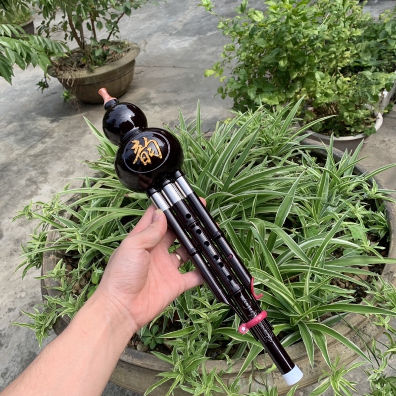 Sáo bầu nhựa giả gỗ mun đen khớp inox giá rẻ