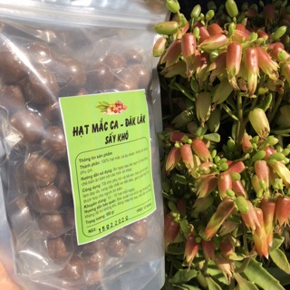 500gr Hạt Macca Đaklak hàng ngon