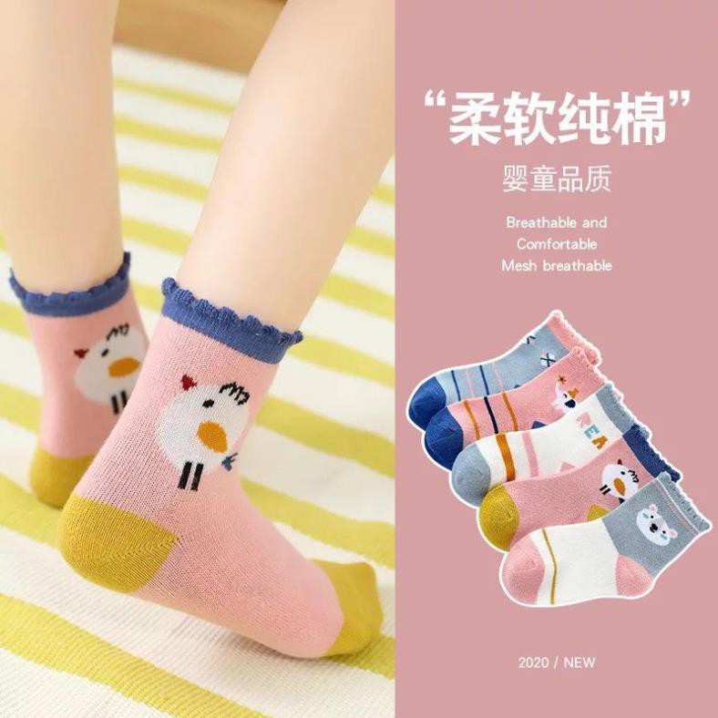 ( RE VO DICH ) Combo set 5 đôi tất xuất hàn cotton mịn đẹp