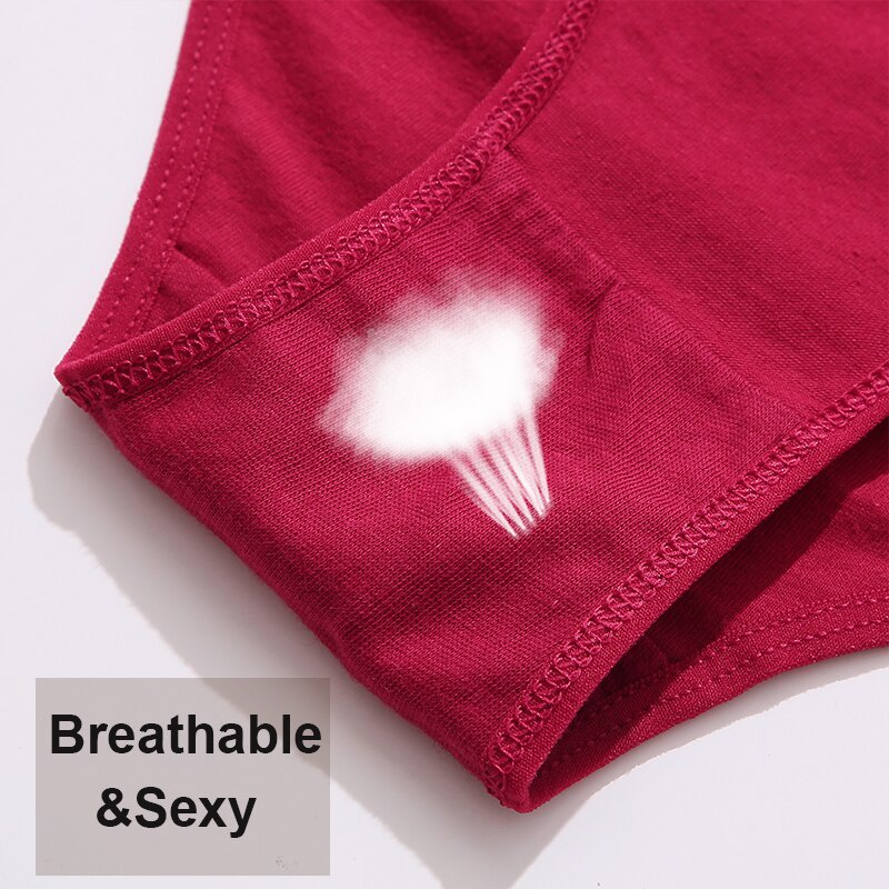 3 quần lót FINETOO vải cotton mềm phối ren thời trang gợi cảm dành cho nữ