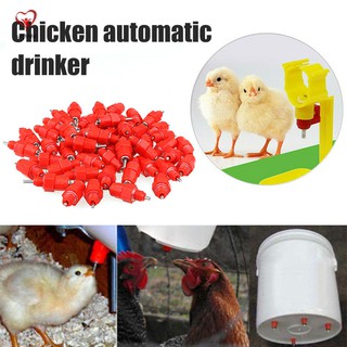 10/20/30 Đầu vòi phun nước tự động cho gà uống