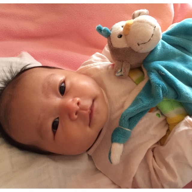 Hà sỉ lẻ đồ bộ - hàng VNXK