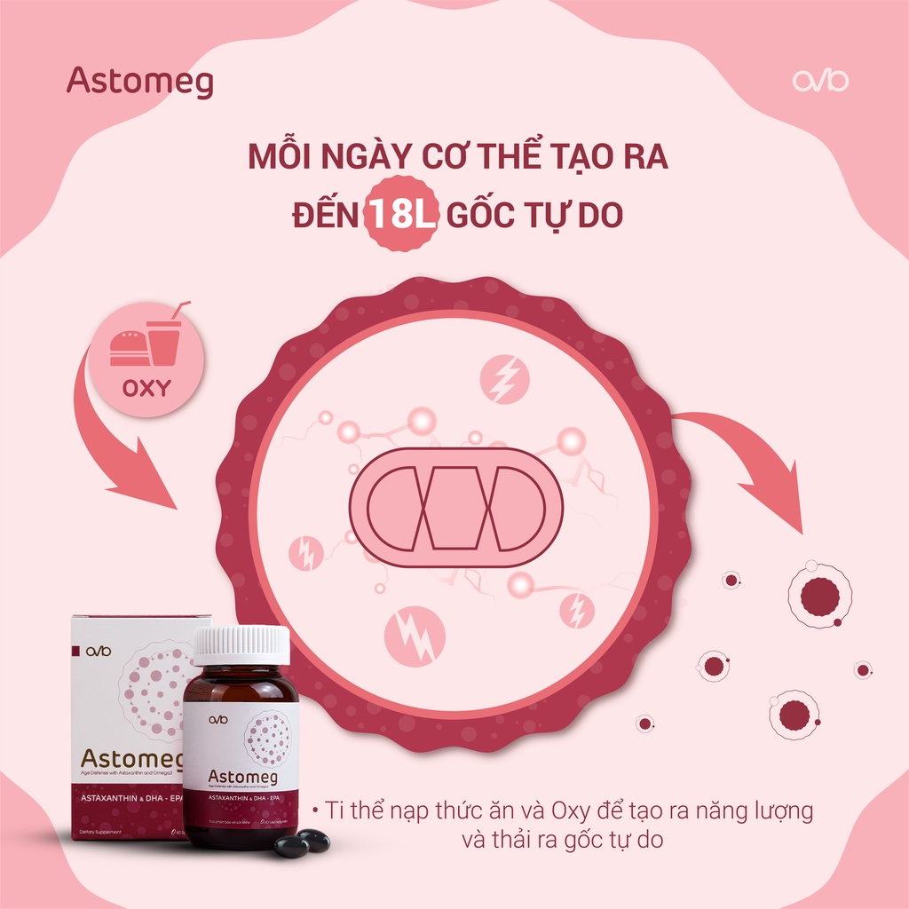 Astomeg Age Defense with Astaxanthin &  Omega3 - Hộp 60 viên chống lão hóa Astomeg AVB