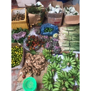 Gừng Chợ Lách