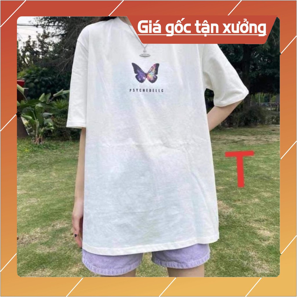 Áo bướm psy TT12