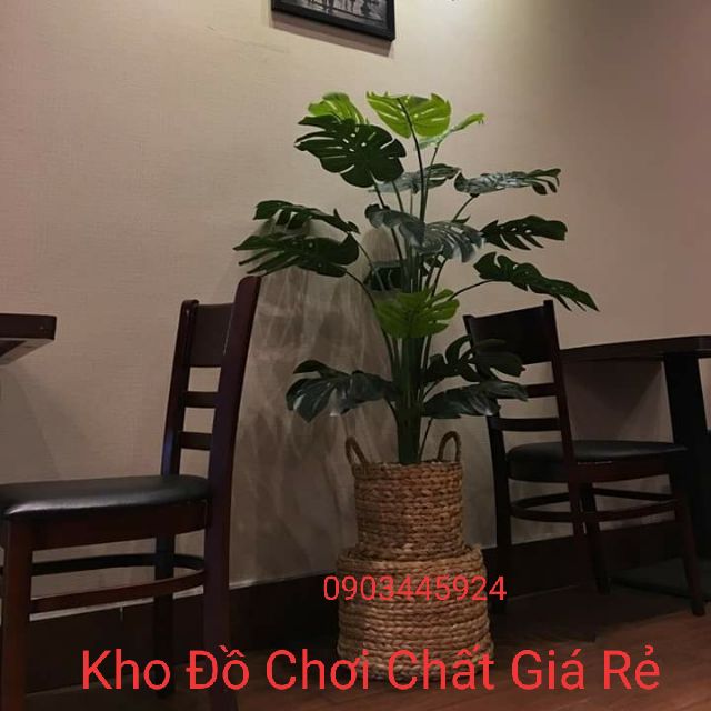 CÂY LÁ RÙA PHONG THỦY CAO 130CM TRANG TRÍ NHÀ CỬA- CÂY GIẢ