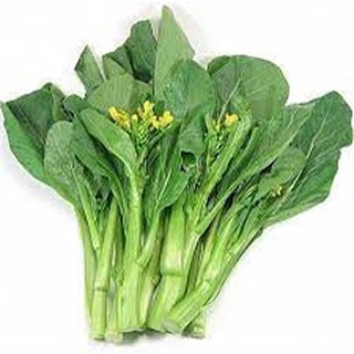 Hạt giống cải ngồng HN 19 (20g)