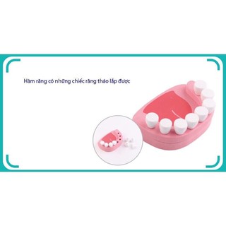 Bộ đồ chơi gỗ bác sĩ gỗ thịt cao cấp