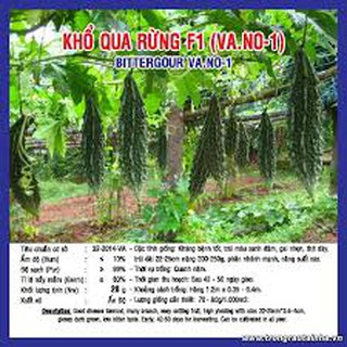 HẠT GIỐNG KHỔ QUA RỪNG