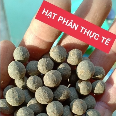 (GÓI 1KG) PHÂN HỮU CƠ TAN CHẬM ĐẶNG THẮNG