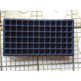 Khay ươm hạt, giâm cành 72 lỗ