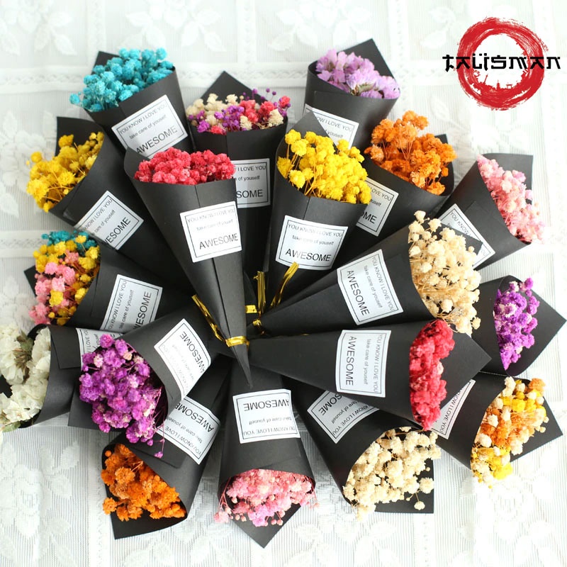 Bó hoa ốc quế baby khô mini vĩnh cửu trang trí, quà tặng decor trang trí nhà cửa
