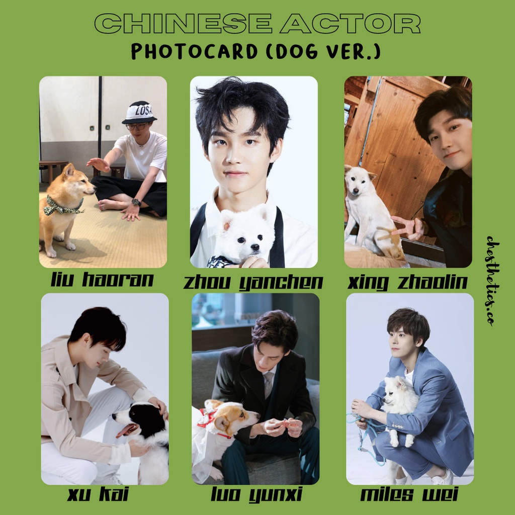 [ CHINA ACTOR ] Ảnh Card Bo Góc Diễn Viên Nam Trung Quốc - Chủ Đề Chụp Ảnh Cùng Cún [ PHOTOCARD ]