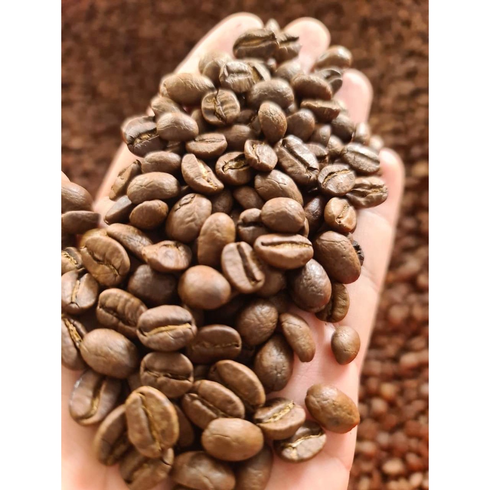 Cà phê rang xay nguyên chất GREAT COFFE,dòng mix 3 arabica,moka,robusta 500g Cp04