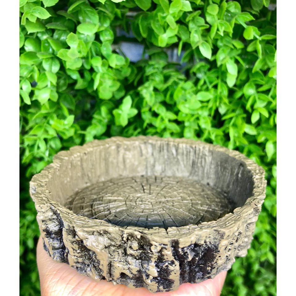 CHÉN NƯỚC. CHÉN ĂN HÌNH GỐC CÂY