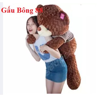Gấu bông Teddy khổ vải 1m5 Hàng VNXK cao cấp cực đẹp