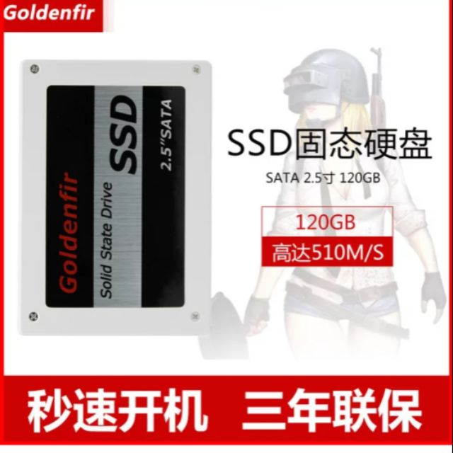 Ssd Goldenfir 120gb