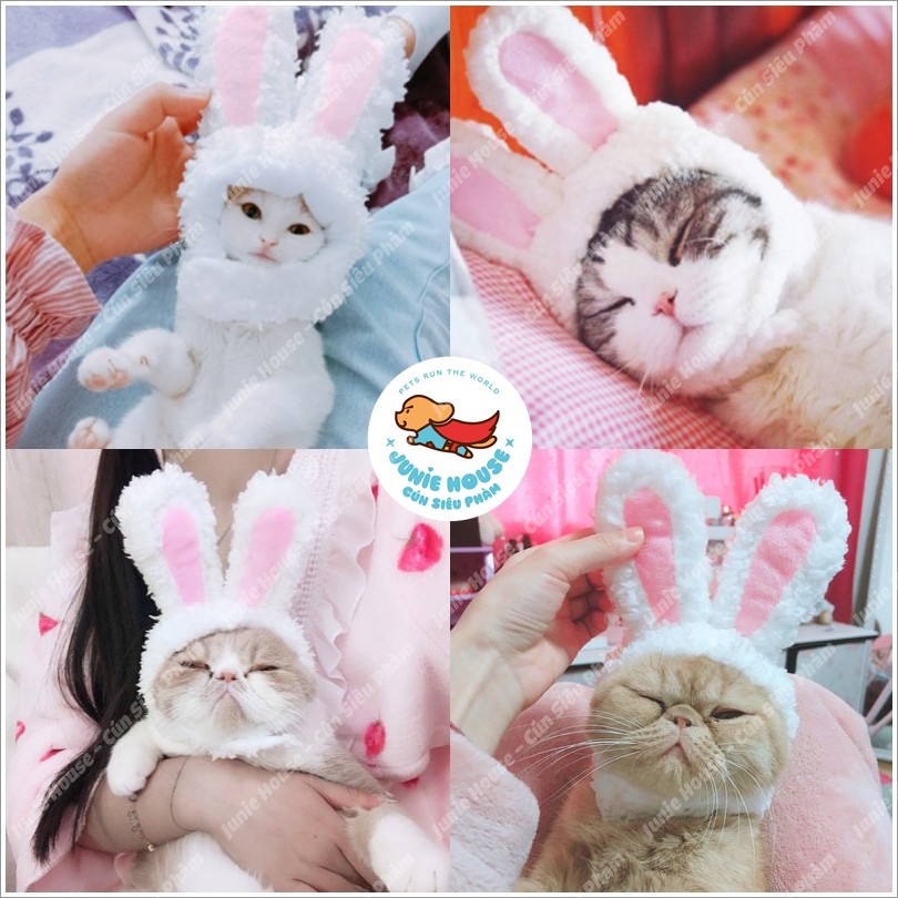 Nón con thỏ trắng dễ thương cho chó mèo