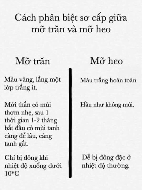 [XÃ HÀNG] Mỡ trăn nguyên chất 100% không pha