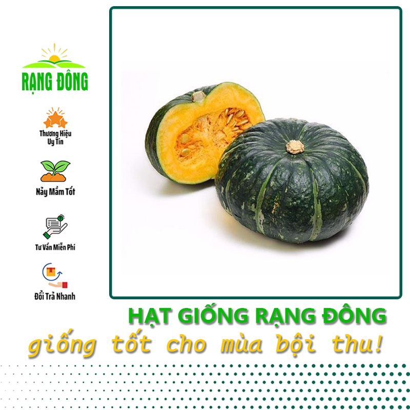Hạt giống Bí Đỏ Nhật lai F1 dễ trồng, trái to, thịt dày, thơm, ngon (gói 5 hạt) - Hạt giống Rạng Đông
