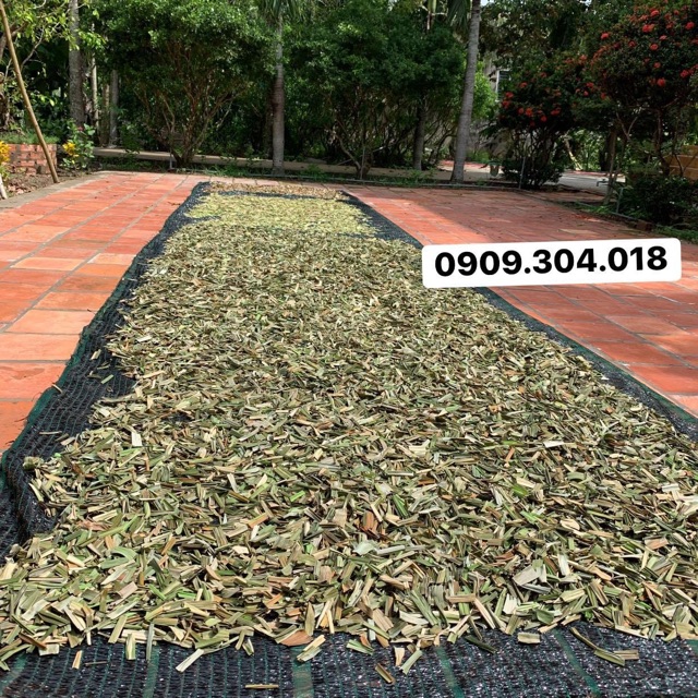 Lá Dứa - Lá Nếp Sấy Khô 1kg