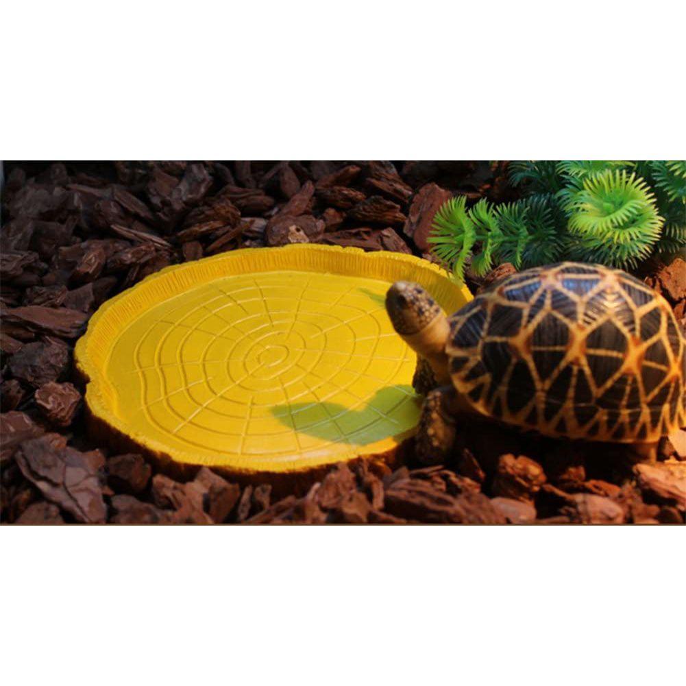 LAYOR1 Snake Feeder Durable Reptile Tortoise Feeding Bowl