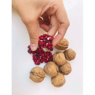 ÓC CHÓ NHÂN ĐỎ - (Đã bóc vỏ) (500gr)