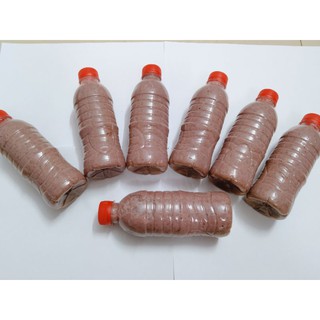 Loại 1 Mắm tôm Hà Tĩnh hàng (Ruốc)